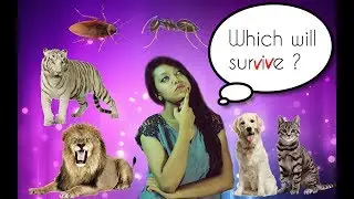 Animals which will survive a NUCLEAR WAR !! Do humans stand a chance ???