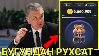 ХАМСТЕРИ БОРЛАРГА ХУШ ХАБАР ИШЛАТАВЕРИНГ  ЛИЦЕНЗИЯ ОЛИБ  hamster xamster