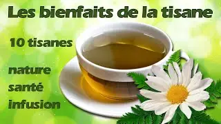 Les vertus de 10 tisanes pour le bien être, variétés, saveurs, dégustation, bienfaits