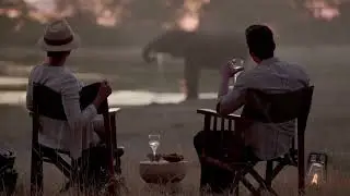 Travelling Africa with the experts
