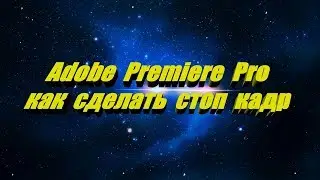 Adobe Premiere Pro как сделать стоп кадр скриншот
