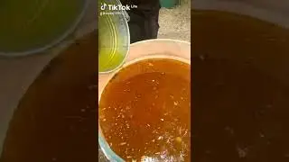 качаем подсолнух 2 качка.