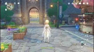 Genshin Impact Adventurers Trials:Advance Sequential Trials 2