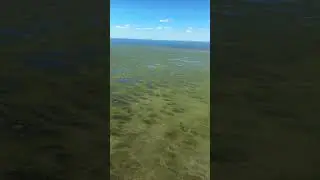 Flying over miles of swamps #cockpit #cockpitview