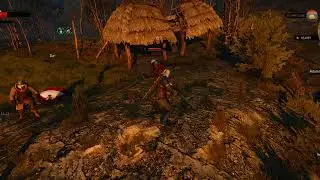 The Witcher 3 Ghost Mode Fight