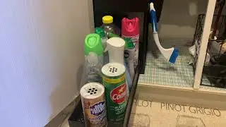 Check Out This Great Under The Sink Organizer