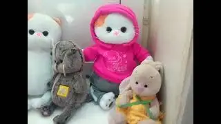 БАСИКИ ЗАНИМАЛИСЬ СПОРТОМ!НО ЧТО ТО ПОШЛО НЕ ТАК....🤔