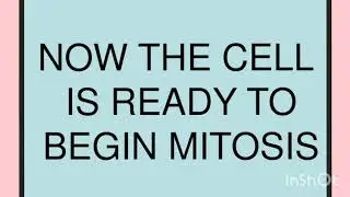 CELL CYCLE(MITOSIS)