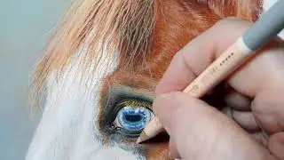 Horse With Blue Eye Pastel Demo