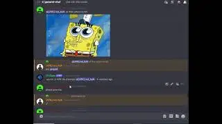 Today we are going to ask for the roles in a random Discord server and got the role in just 5 mins.