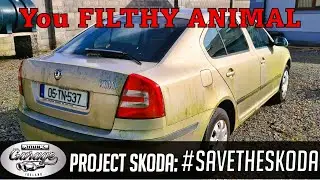 FLIPPIN' MAD: FIRST CLEAN in at LEAST 3 YEARS what does it reveal underneath #SAVETHESKODA