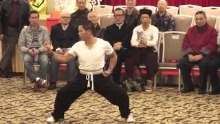 虎鶴雙形拳 - 洪拳任少强師傅