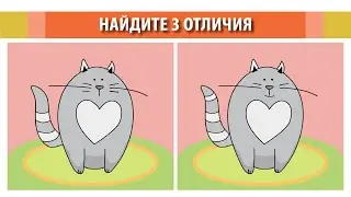 Найдите 3 отличия. Коты.
