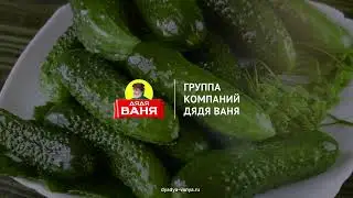 Секреты идеальной засолки неповторимых огурчиков «Дядя Ваня»
