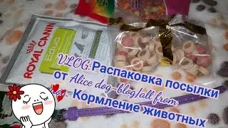 VLOG:Распаковка посылки от Alice dog-blog/all from dog. Кормление животных