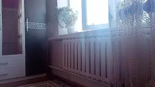 Public agent. Woodman casting. Yoga girl. Periscope live. Donald Trump. Joe Biden president