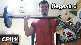 СРЦ14. Неделя 6.  Тренировка с мастером спорта