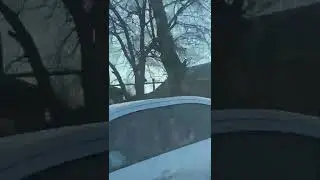 В Шахтах Kia протаранила стену