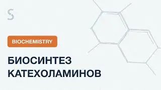 USMLE Step 1 - Биосинтез Катехоламинов