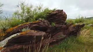 Хакасия.  Древние рисунки на красных камнях