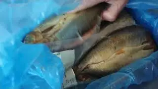 UNBOXING  KIPPERS