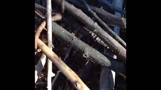 Real life Minecraft
