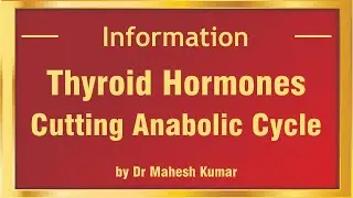 Thyroid Hormones – Cutting Anabolic Cycle | Medifit Education - Official | Mumbai, India |
