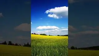 Чурча Гудза