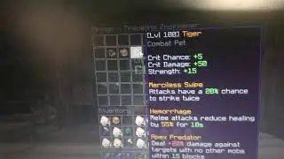LEGENDARY TIGER LETS GOOO