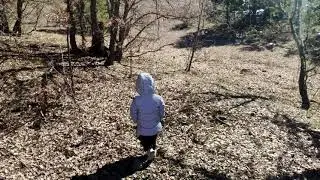 Tuğra Kastamonu Daday'da  ormanı keşfediyor.