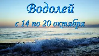 Водолей Таро прогноз на неделю с 14 по 20 октября 2024 года.