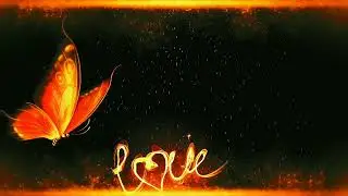 Heart effect black screen full screen| Star light effect video (star video effect) 