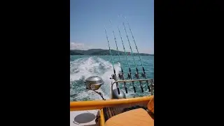 Морская рыбалка Адлер