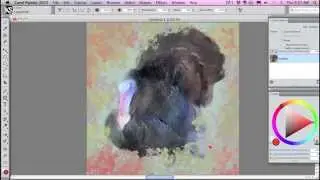 Turning a Photo into a Painting in Corel Painter