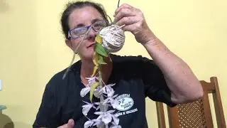 Fazendo  kokedama