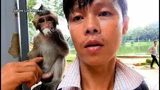 Luving my princess Lola will be NEVER END!Brave Lola come play surprise with tourist