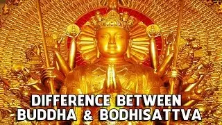 Difference Between Buddha and Bodhisattva