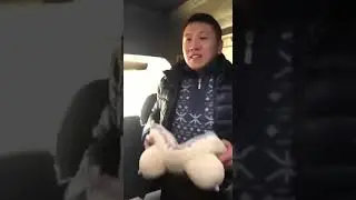 Сиски😂😂