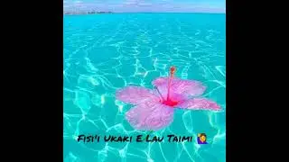 GALUPASIFIKA // Fisi'i Ukaki e lau Taimi... @@ofa atu @@