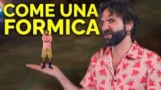 Perché una formica può cadere da un palazzo e un elefante non può saltare?