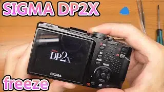 SIGMA DP2X freeze repair digest and full-record