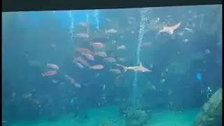 TAOYUAN X-PARK TAIWAN