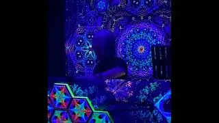 GOA Trance & Psytrance Non Mix 2024 08 31