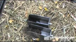 «Дружба-Нова»