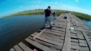 Рыбалка на сазана!,Секретное заклинание на сазана! кастинговая сеть 6 м!