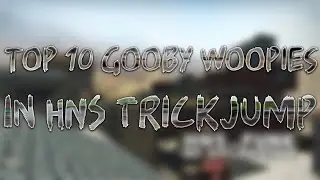 Top 10 Gooby Woopies in HNS trickjump