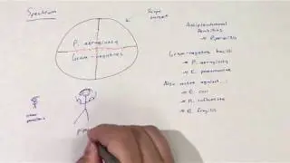 Antipseudomonal penicillins