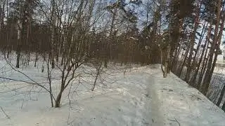 Пешеходный маршрут от м. Ховрино до Левого Берега.