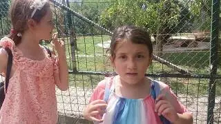 DARICA HAYVANAT BAHÇESİ (DOĞUM GÜNÜ HEDİYEM)