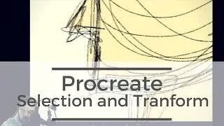 Procreate's Selection and Transform Tools
